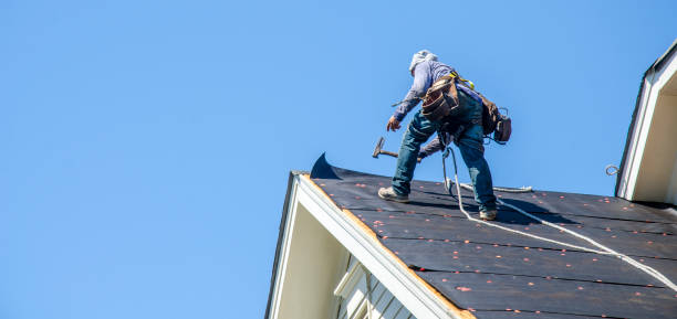 Best Gutter Installation and Roofing  in Silver Ridge, NJ